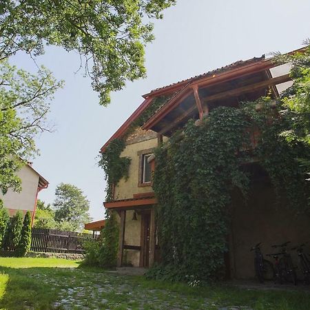 Villa Mlyn Z Pasja à Gaski  Extérieur photo