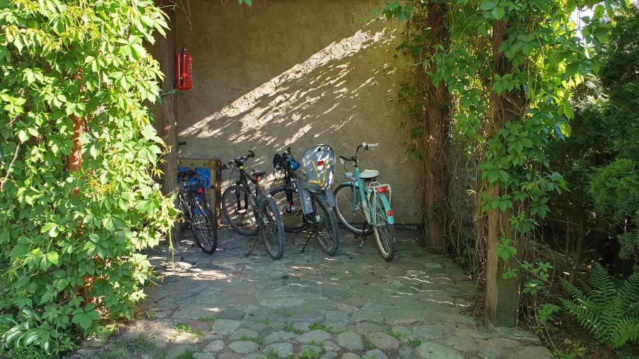 Villa Mlyn Z Pasja à Gaski  Extérieur photo